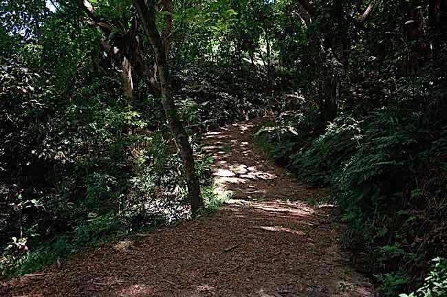 Walking and hiking at La Dolce Vita Holiday Villas Savusavu Fiji
