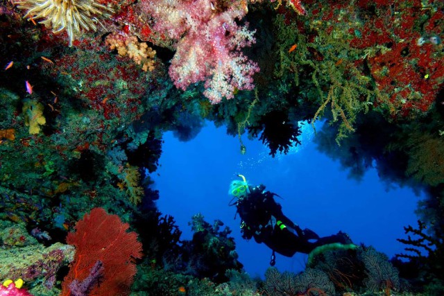 scuba-diving-in-fiji