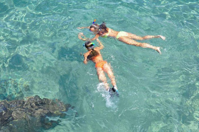 snorkelers